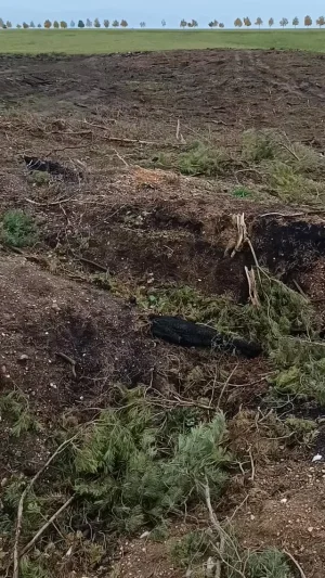 Aufräumen Waldbrand Gelände